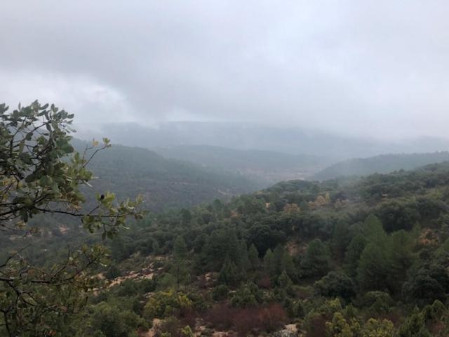 Casa Rural La Labranza Sacedon Bagian luar foto